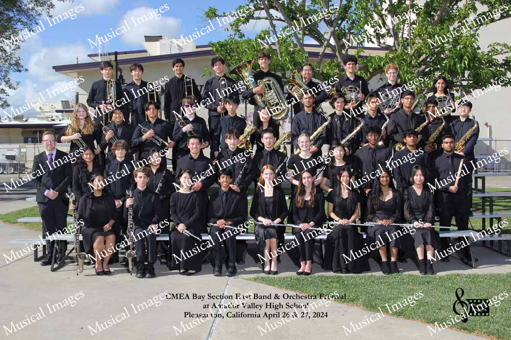 Musical Images